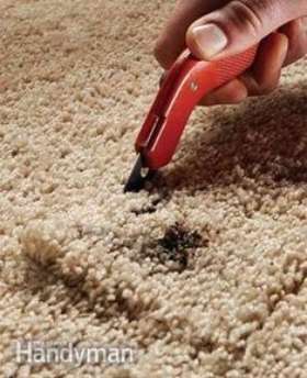 Best Carpet Repair Sydney 