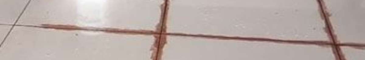 Local Tile And Grout Cleaning Sydney Banner