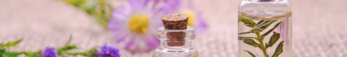 Native and Actual - Naturopath Gold Coast Banner