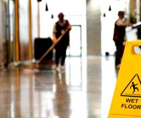 Wii's Domestics and Commercial Cleaning Services