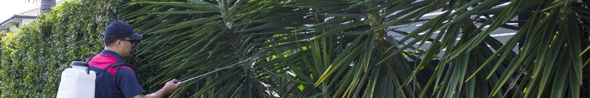 Pro Pest Control Gold Coast Banner