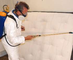 Pro Pest Control Gold Coast