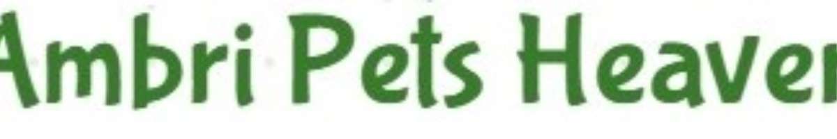 Ambri Pets Heaven Banner