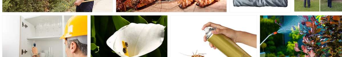 Pest Control Chisholm Banner