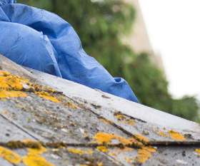 Pro Asbestos Removal Perth