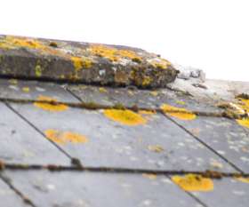 Pro Asbestos Removal Perth