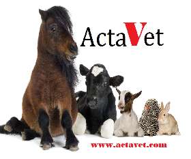 ActaVet