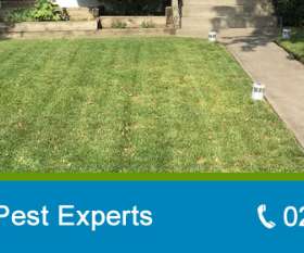 Pro Pest Control Sydney