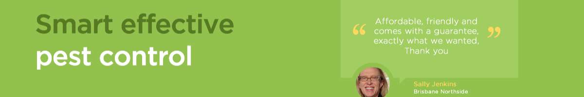 Eco Pest Control Brisbane Banner