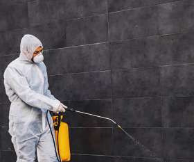 Eco Pest Control Brisbane