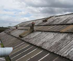 Pro Asbestos Removal Sydney