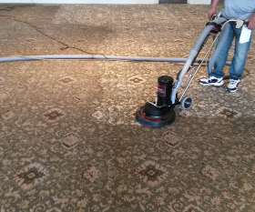 Pro Carpet Cleaning Sydney