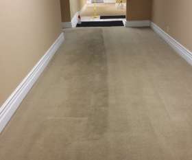 Pro Carpet Cleaning Sydney