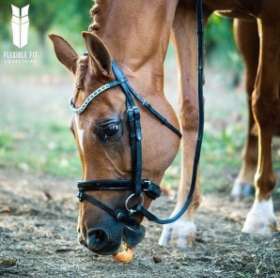 Saddlery Industry - Flexible Fit Equestrian Australia