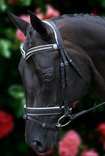 White Padded 3 Row crystal V with Shields Snaffle Bridle