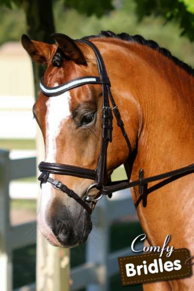 4 Row Crystal Wave Snaffle Bridle