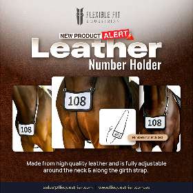 Anatomical Horse Bridles - Equestrian Equipment Australia – FFEquestrian AU