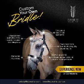 Anatomical Horse Bridles - Equestrian Equipment Australia – FFEquestrian AU