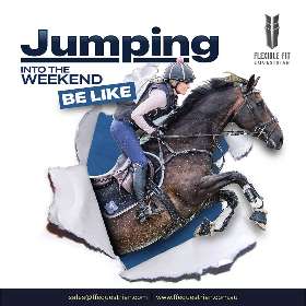 Anatomical Horse Bridles - Equestrian Equipment Australia – FFEquestrian AU