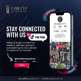 Anatomical Horse Bridles - Equestrian Equipment Australia – FFEquestrian AU