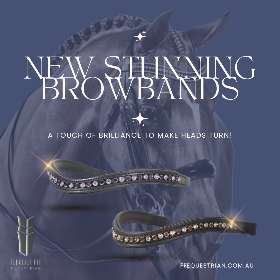 Anatomical Horse Bridles - Equestrian Equipment Australia – FFEquestrian AU