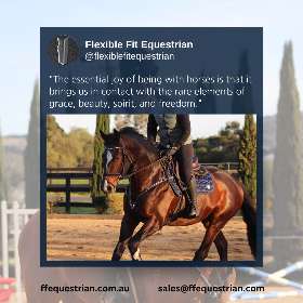 Anatomical Horse Bridles - Equestrian Equipment Australia – FFEquestrian AU