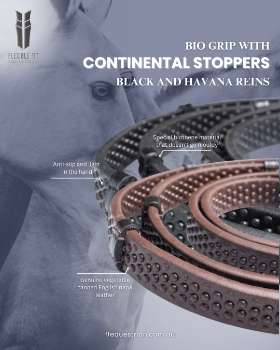 Anatomical Horse Bridles - Equestrian Equipment Australia – FFEquestrian AU