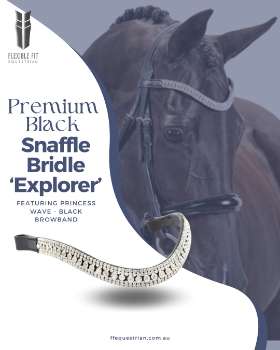 Anatomical Horse Bridles - Equestrian Equipment Australia – FFEquestrian AU