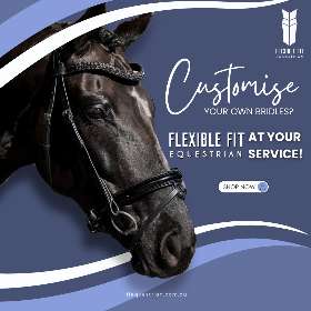 Anatomical Horse Bridles - Equestrian Equipment Australia – FFEquestrian AU