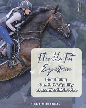 Anatomical Horse Bridles - Equestrian Equipment Australia – FFEquestrian AU
