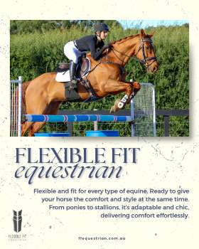 Anatomical Horse Bridles - Equestrian Equipment Australia – FFEquestrian AU