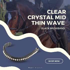 Anatomical Horse Bridles - Equestrian Equipment Australia – FFEquestrian AU