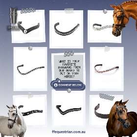 Flexible Fit Equestrian