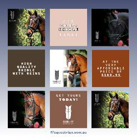 Our Comfy Bridle range offers the high-quality craftsmanship you expect from Flexible Fit Equestrian, all at an unbeatable price of $169.95, reins included! - by FFEquestrian
