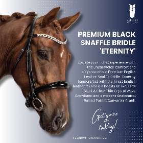 Flexible Fit Equestrian