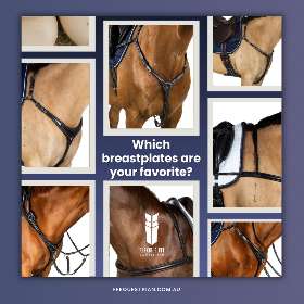 Upgrade your equestrian riding gear with Flexible Fit Equestrian Australia’s breastplates! - by FFEquestrian