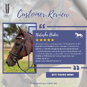 We want to express our heartfelt thanks to a fantastic customer who took the time to share their positive review! - by FFEquestrian