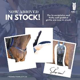 Get ready to ride in comfort and style – our top-quality breastplates and the soft padded girths are now in stock. - by FFEquestrian