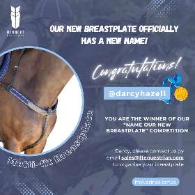 It's official – our breastplate got a fresh new name to match its innovative design! - by FFEquestrian