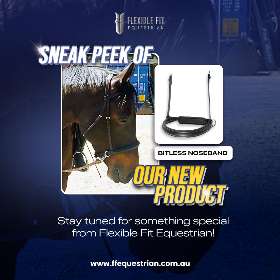 Sneak Peek of Our New Product! - by FFEquestrian