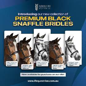 Get your hands on our brand-new collection of Premium Black Snaffle Bridles! by FFEquestrian
