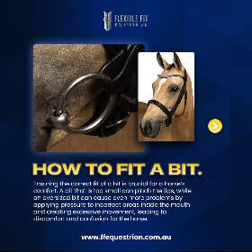 Finding the perfect bit fit is crucial for your horse’s comfort by FFEquestrian