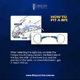 Bombers Bits offers expertly designed bits that cater to the unique needs of both horses and riders by FFEquestrian