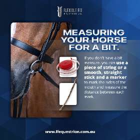 Have you ever wondered what objects you can use to measure your horse for a bit if you don’t have a bit measure on hand? by FFEquestrian