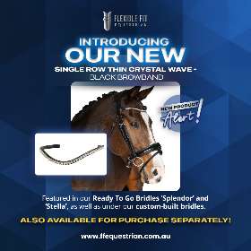 Searching for a durable browband that doesn't compromise on bling? Discover our new Single Row Thin Crystal Wave - Black Browband by FFEquestrian