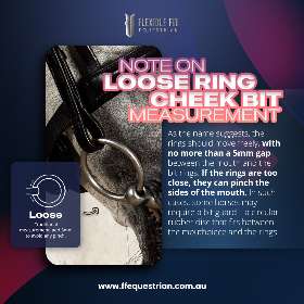 As the name suggests, the rings on this loose ring bit slide through the mouthpiece, promoting ease of movement and encouraging the horse to relax its jaw by FFEquestrian