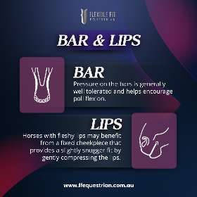 Bar pressure encourages poll flexion, while the bit position and type can affect pinching and tongue pressure by FFEquestrian