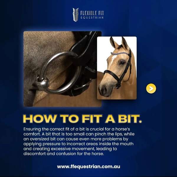 Choosing The Correct Bit for Your Horse