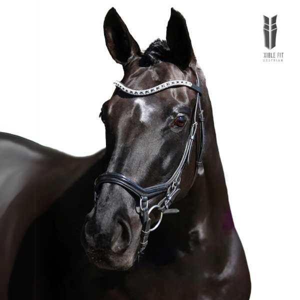 A Comprehensive Guide to Horse Bridles: Features, Fitting, and How to Bridle