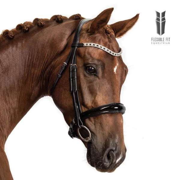 Types of Horse Bridles in English and Western Disciplines: A Complete Guide
